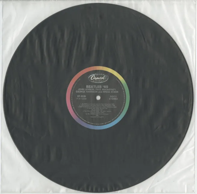 Inner Sleeves, polyethylene sleeve type 2